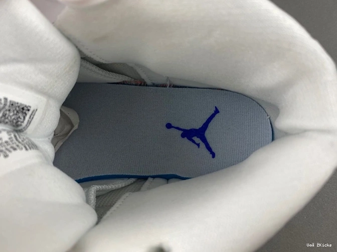 Jordan 3860 CT8013- 732 12 Air Trendsetting 0716
